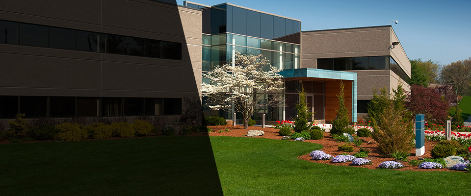 Yerington Landscapers
